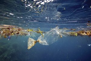 bilim ve teknoloji-çevre-okyanus-plastik-kirlilik-su kirliliği-labpoint