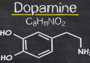bilim ve teknoloji-beyin kimyasalı-dopamin-labpoint