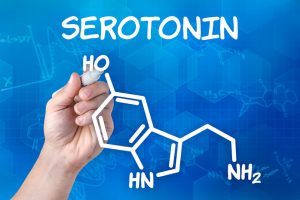 bilim ve teknoloji-beyin kimyasalı-serotonin-labpoint