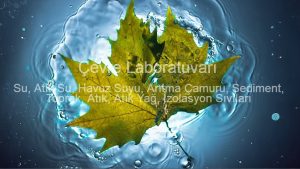 Ekosistem Çevre ve Analiz Laboratuvarı