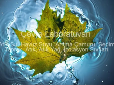 Ekosistem Çevre ve Analiz Laboratuvarı