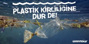 bilim ve teknoloji-çevre-okyanus-plastik kirliliği-labpoint