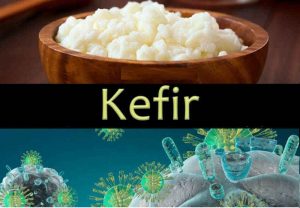 Labpoint Bilim ve Teknoloji - Kefir Dane Mucizesi